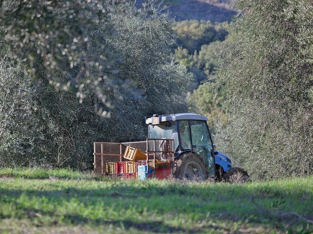 Tenuta La Silva 세지아노 외부 사진