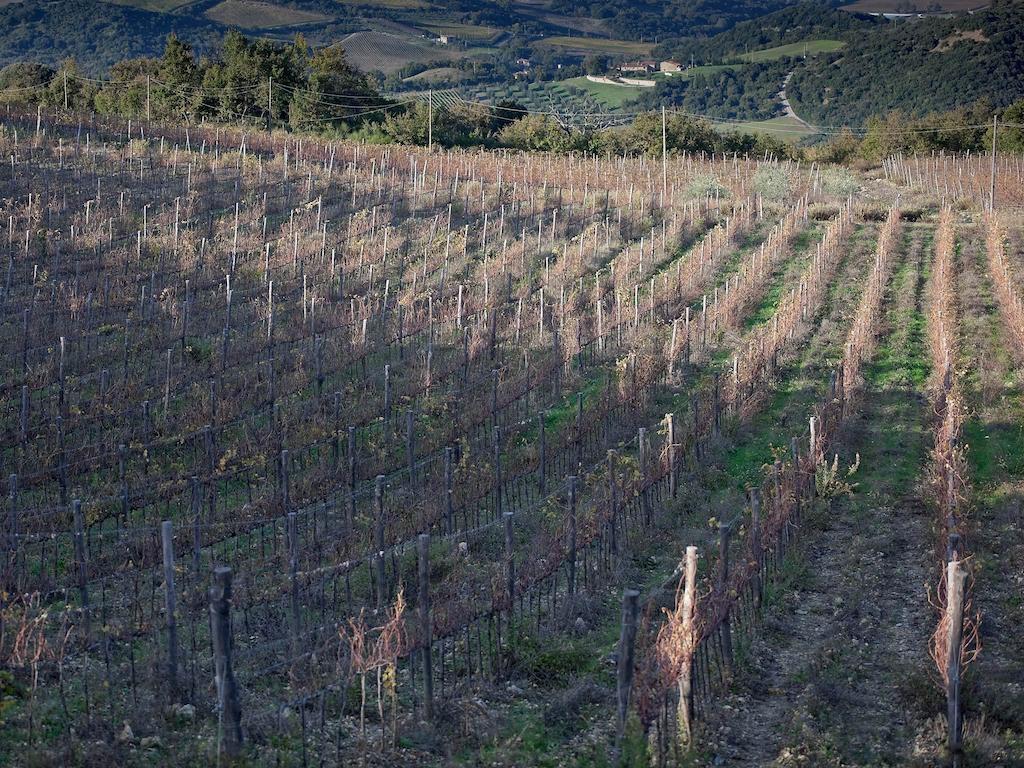 Tenuta La Silva 세지아노 외부 사진